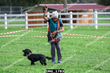 IMG_1783.jpg