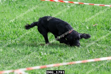 IMG_1791.jpg