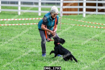 IMG_1793.jpg