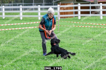 IMG_1795.jpg