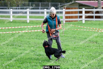 IMG_1798.jpg