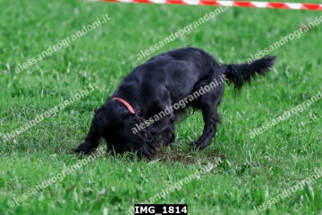 IMG_1814.jpg