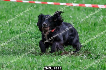 IMG_1822.jpg