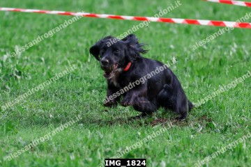 IMG_1824.jpg