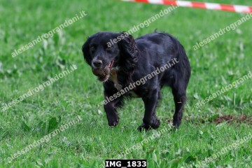 IMG_1833.jpg