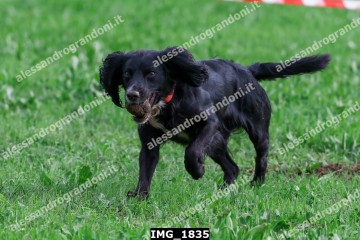 IMG_1835.jpg