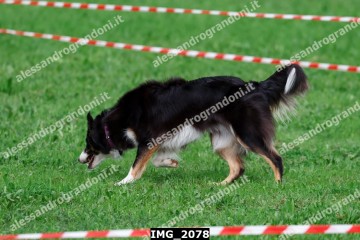 IMG_2078.jpg