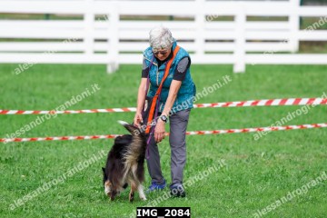 IMG_2084.jpg
