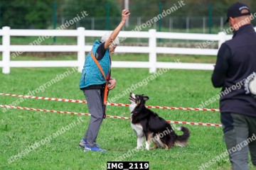 IMG_2119.jpg