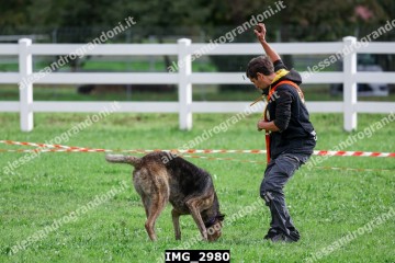 IMG_2980.jpg