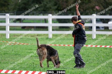 IMG_2986.jpg