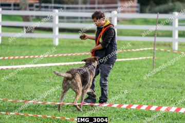 IMG_3004.jpg