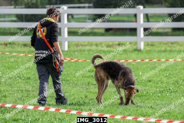 IMG_3012.jpg