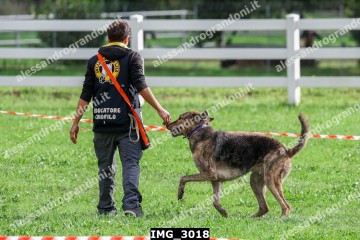 IMG_3018.jpg