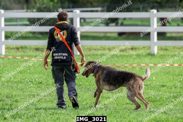 IMG_3021.jpg
