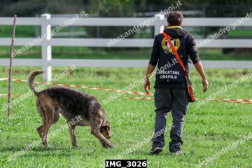 IMG_3026.jpg