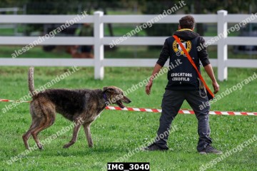 IMG_3040.jpg