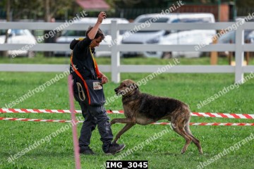 IMG_3045.jpg