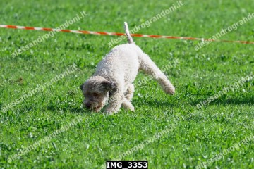 IMG_3353.jpg