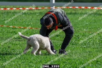 IMG_3355.jpg