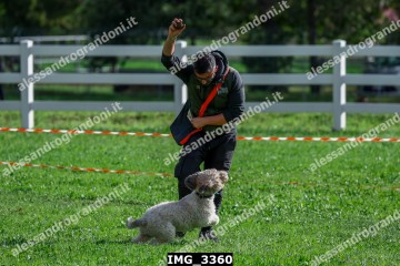 IMG_3360.jpg