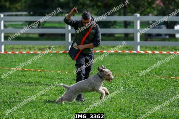 IMG_3362.jpg