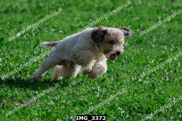 IMG_3372.jpg