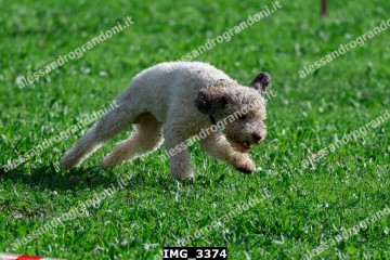 IMG_3374.jpg