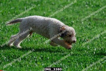 IMG_3380.jpg