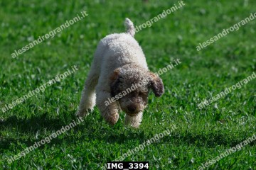 IMG_3394.jpg