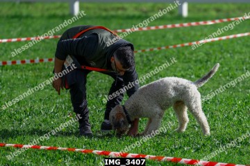 IMG_3407.jpg