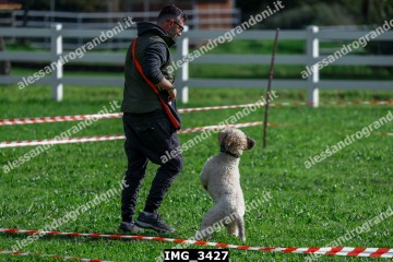 IMG_3427.jpg