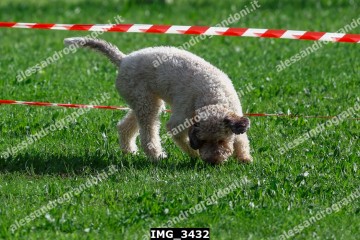 IMG_3432.jpg