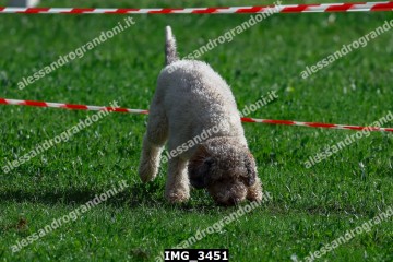 IMG_3451.jpg