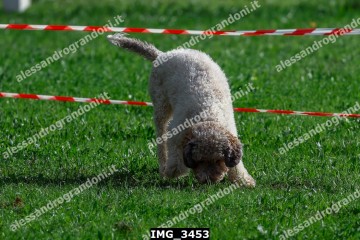 IMG_3453.jpg