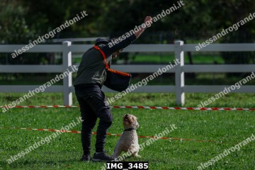IMG_3485.jpg