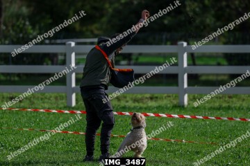 IMG_3487.jpg