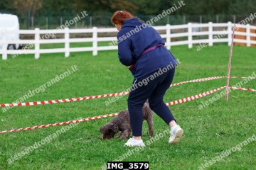 IMG_3579.jpg