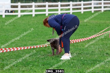 IMG_3581.jpg