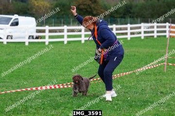 IMG_3591.jpg