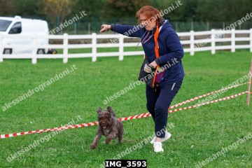 IMG_3593.jpg