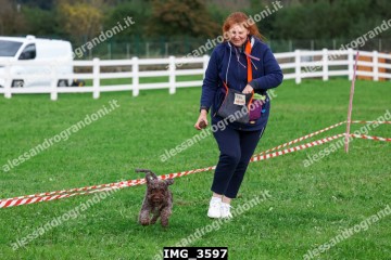 IMG_3597.jpg