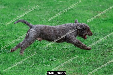IMG_3600.jpg