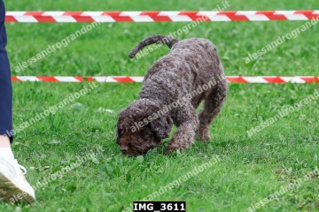 IMG_3611.jpg