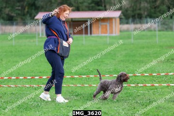 IMG_3620.jpg