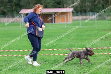 IMG_3621.jpg