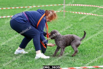IMG_3635.jpg