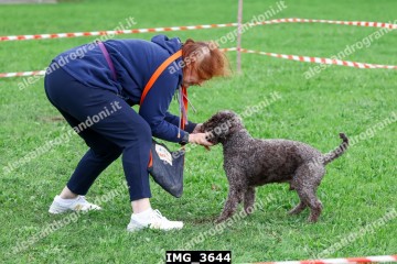 IMG_3644.jpg