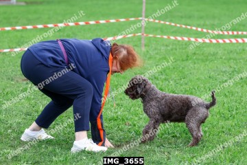 IMG_3655.jpg