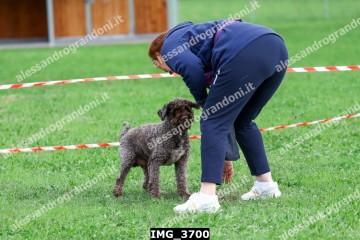 IMG_3700.jpg